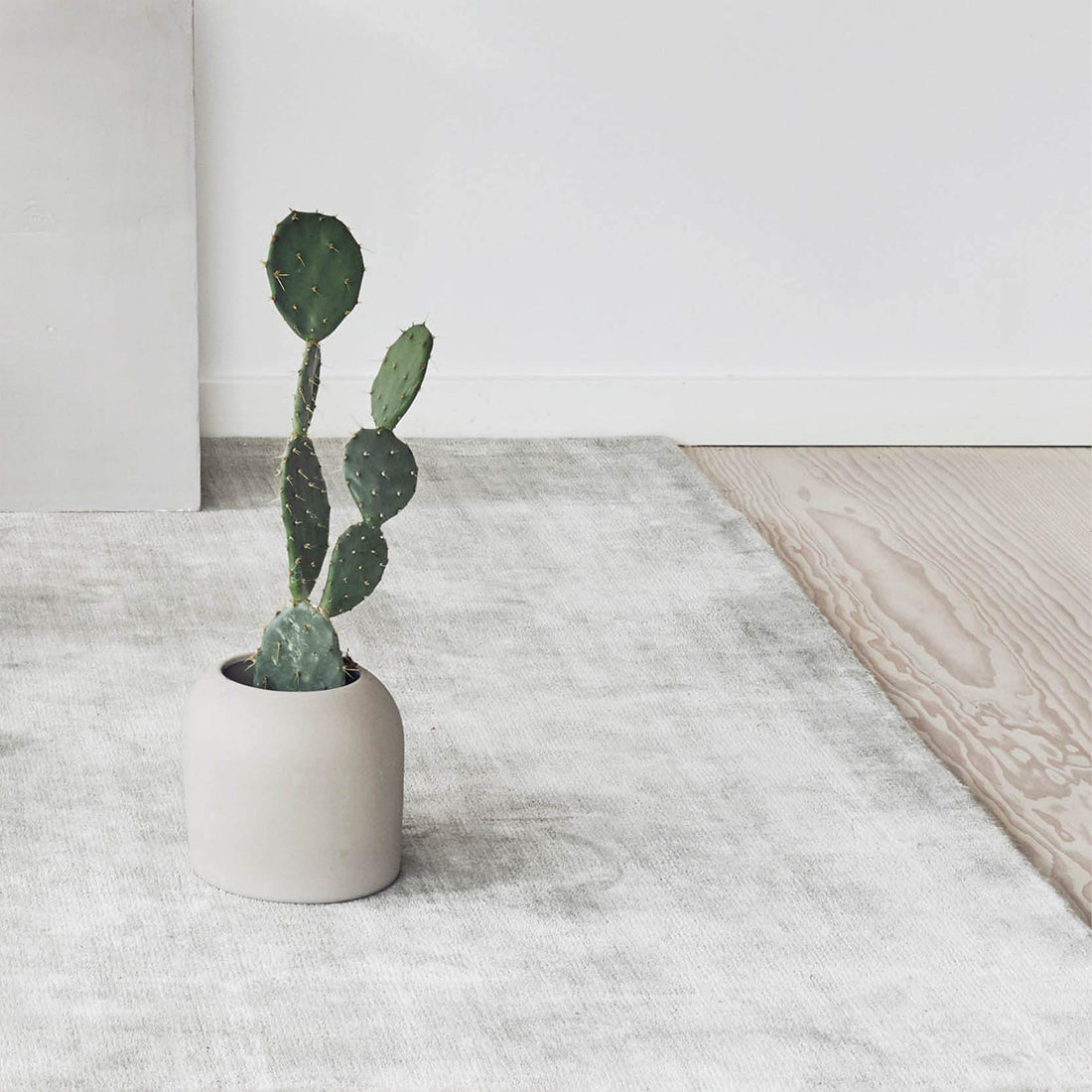 XS Dome vase med plante designet af Kristina Dam studio