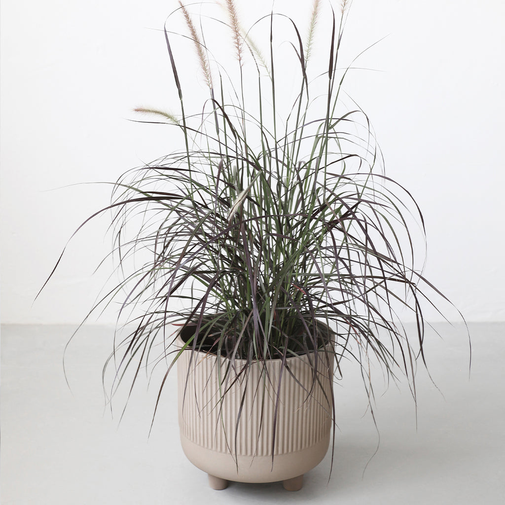 Grå terrakotta potteskjuler med flot plante designet af Kristina Dam studio